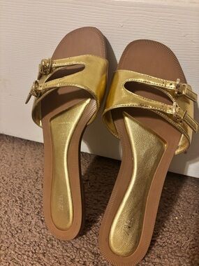 Zara Gold Slide Sandals with Buckle detail